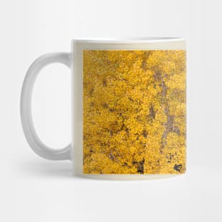 Aspen tree foliage in autumn colors Mug